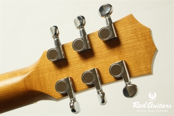 BT1 Walnut